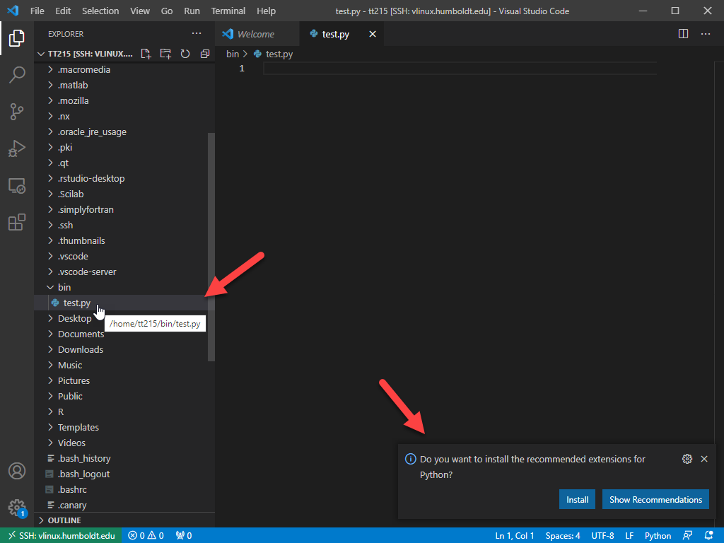 VS Code -  Example showing how to add a file to example directory part 3