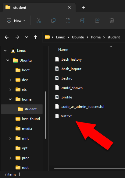 Windows Explorer with an arrow pointing to the test.txt file that was created from within WSL.