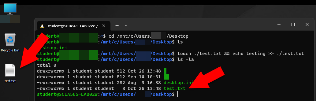 Screenshot of a Windows desktop and the Terminal application open with arrows pointing to the test.txt file on the desktop as well as in the output after running the ls command in WSL.