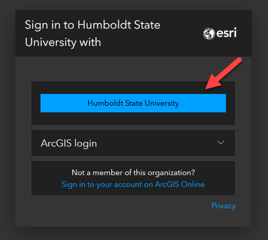 ArcGIS Online single sign-on login landing page